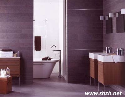 無(wú)障礙浴室