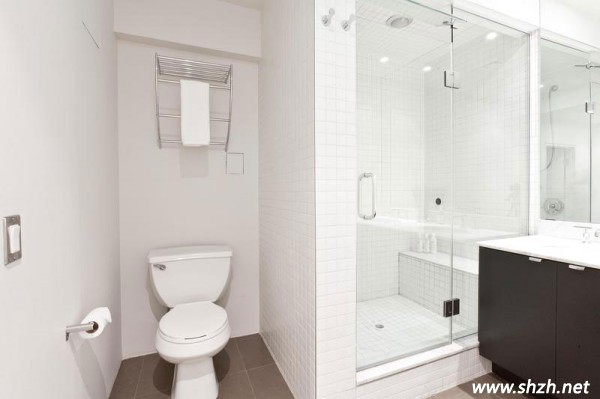 簡約的衛(wèi)生間設(shè)計